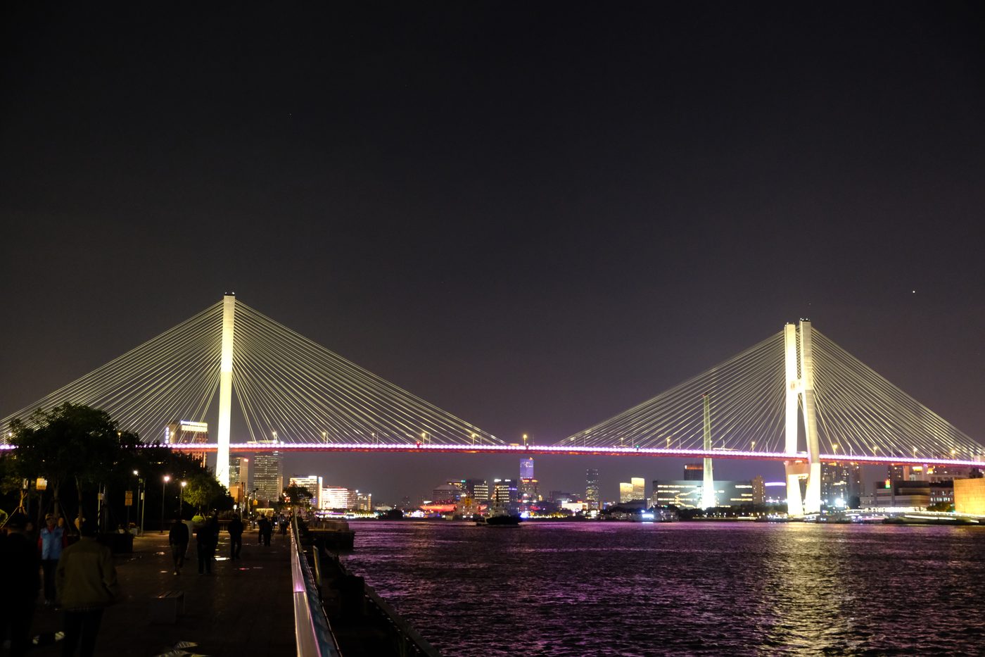 Cable-stayed bridge used in the drive-through campaigns run with Tongji University.